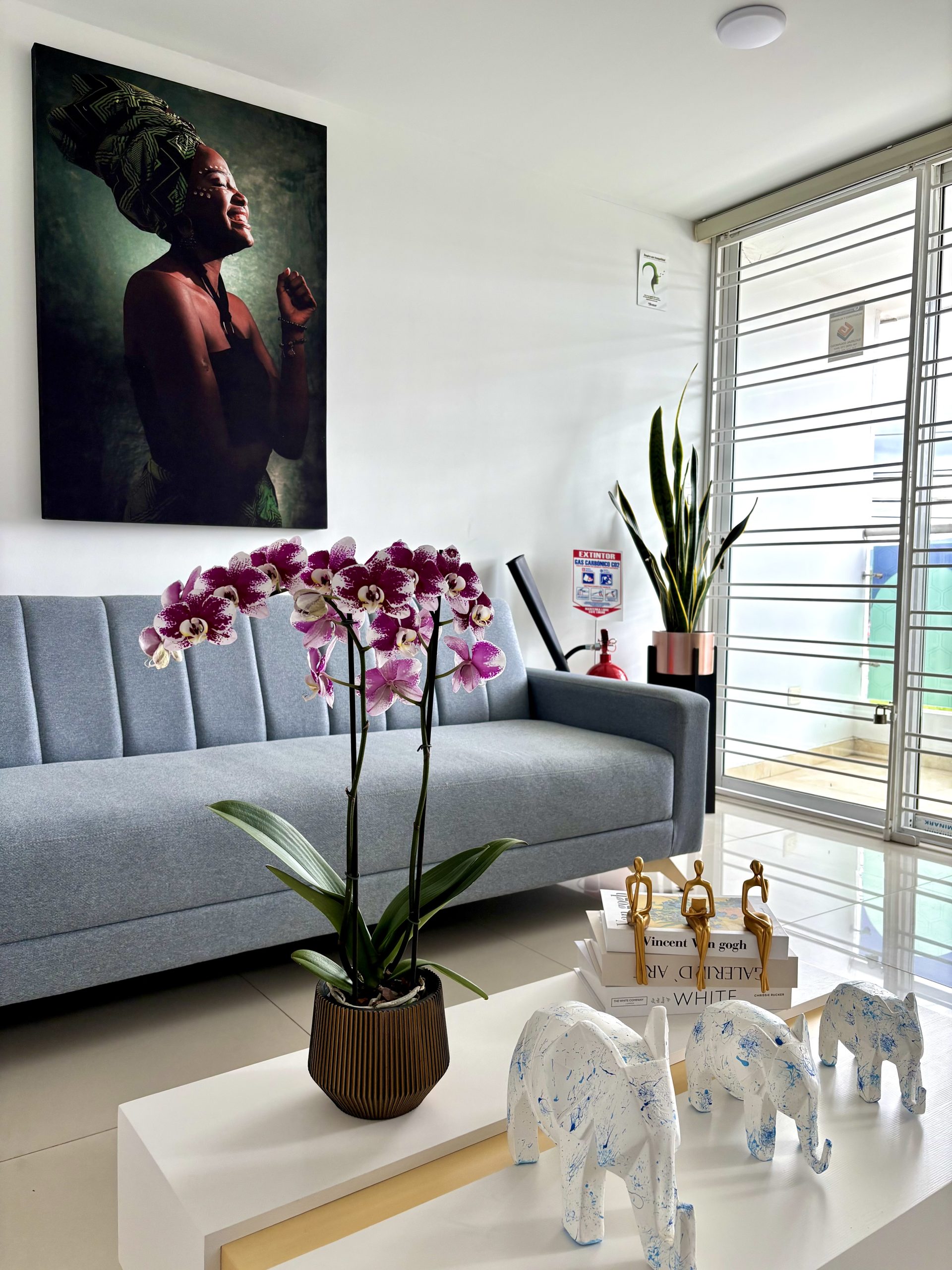 protesis removibles fijas